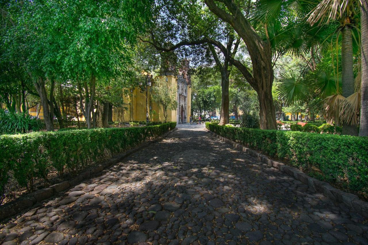 Fl 59 Coyoacan At Your Doorstep! Apartment Kota Meksiko Bagian luar foto